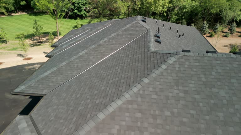 Best Roof Coating and Sealing  in Green Oaks, IL