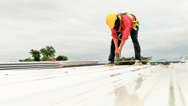 Best Roof Ventilation Installation  in Green Oaks, IL