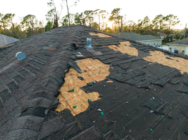 Best Emergency Roof Repair Services  in Green Oaks, IL